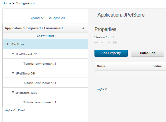 The Configuration page shows information about an application, including its components and environments.