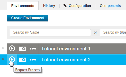 Clicking Request Process on an environment