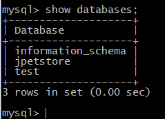 The list of databases on the system, including the jpetstore database