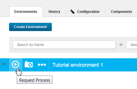 Clicking Request Process on an environment